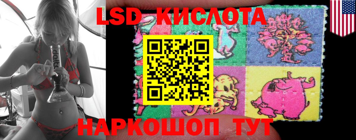 omg рабочий сайт  ЛСД экстази кислота  Лсд 25 экстази  Вход с VPN  Елизово  ЛСД экстази ecstasy 