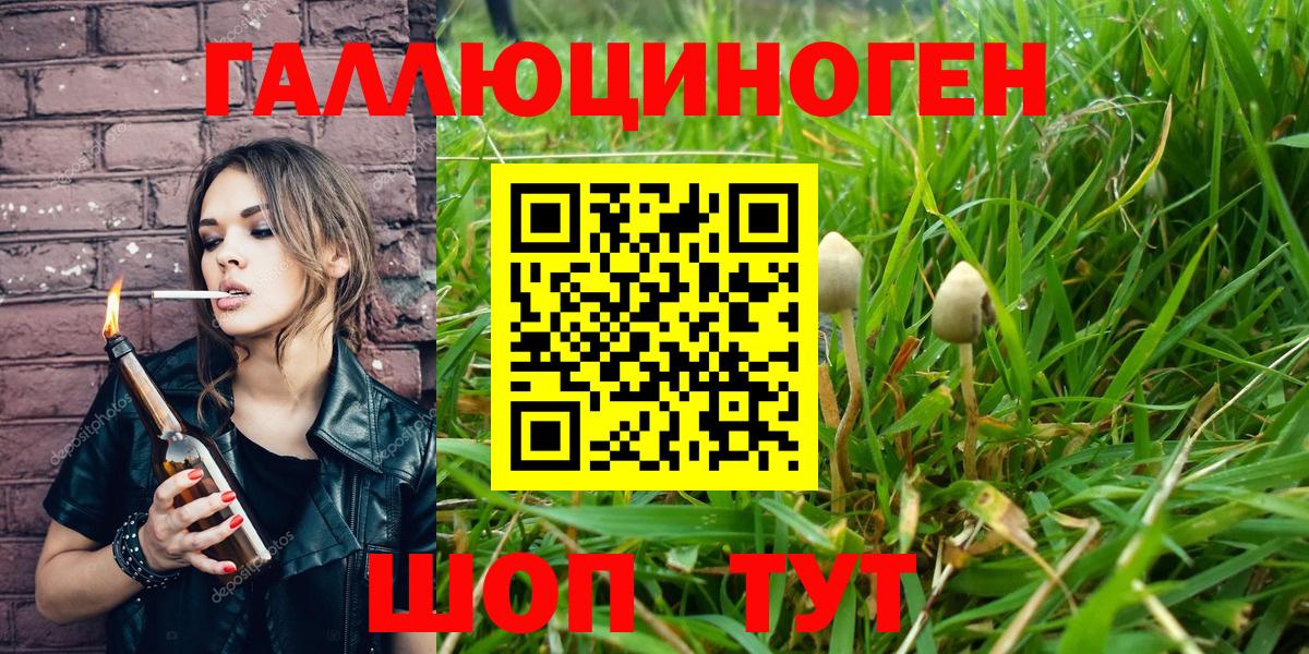 Псилоцибиновые грибы Cubensis  Вход с VPN  Елизово 
